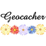 Geocacher Asters